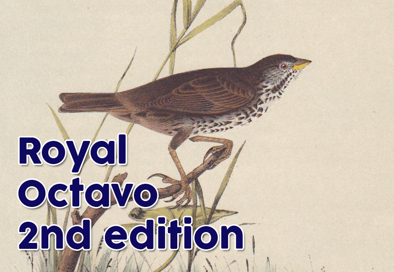 Royal Octavo 2nd Edition