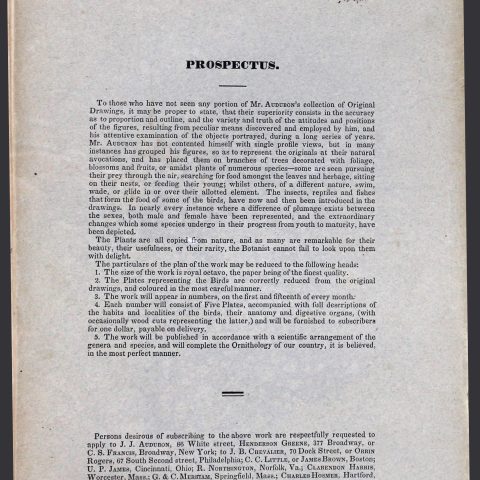 Fascicle 42 (Back cover visible)